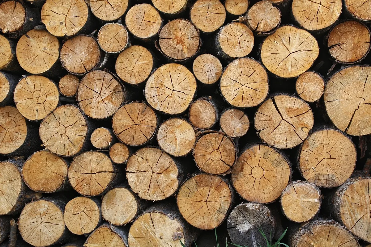 Stacked round logs seen end-on, with annual rings and radial cracks in the cut faces